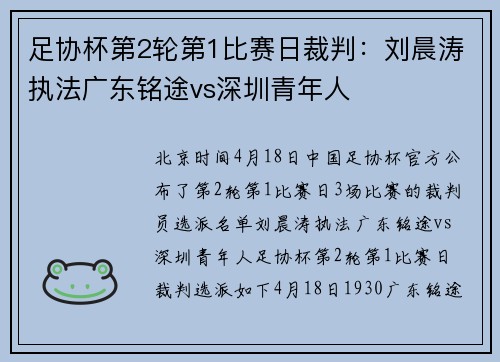 足协杯第2轮第1比赛日裁判：刘晨涛执法广东铭途vs深圳青年人